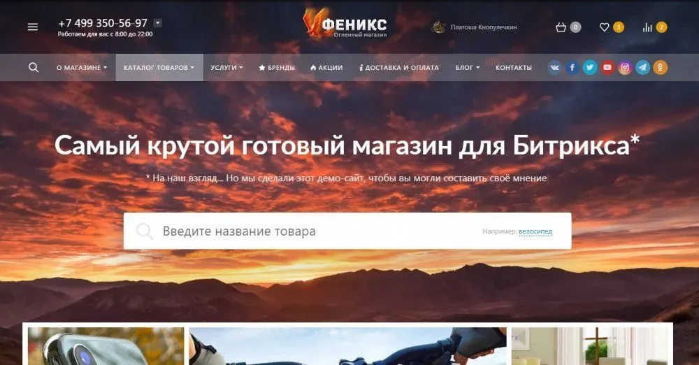 ФЕНИКС — безлимитный конструктор интернет-магазинов с возможностью создавать нешаблонные лендинги